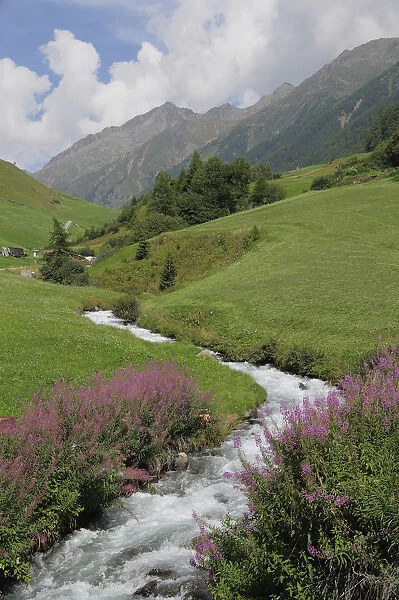 Italy, Trentino Alto Adige, Val di Planol, Punibach river running through valley