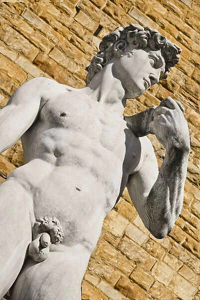 Italy, Tuscany, Florence, Piazza della Signoria, Replica of the famous David statue by Michelangelo with the Palazzo Vecchio as background