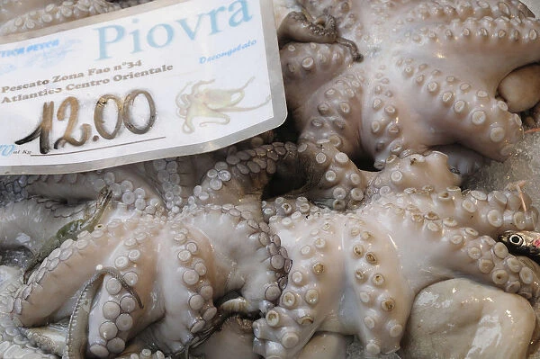 Italy, Veneto, Venice, octopus, Rialto fish market