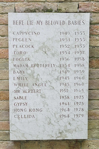 Italy, Veneto, Venice, Peggy Guggenheim Collection, Peggys dogs headstone