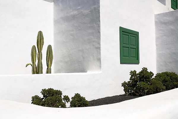 La Casa Museo a La Campesino or the Farmhouse Museum. Cactus growing against white walls of museum building with green painted window shutter