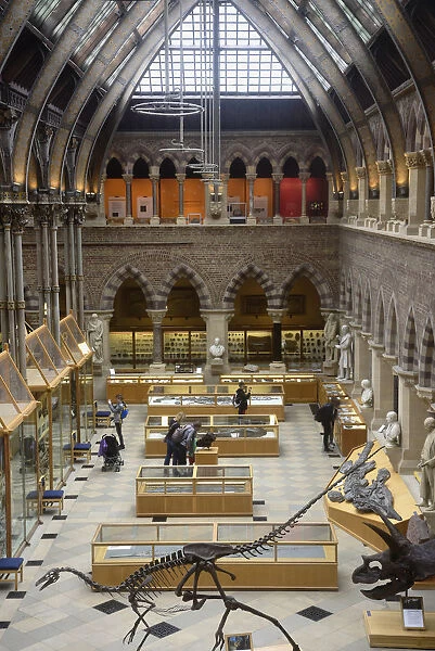 Natural History Museum, Oxford