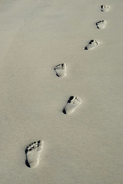 O - Footprints 1