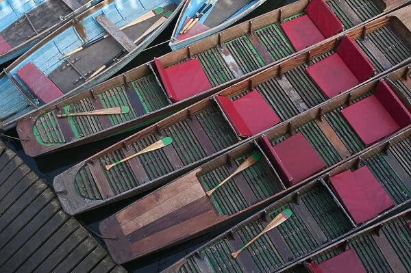 Punts on the river Cherwell, OXford