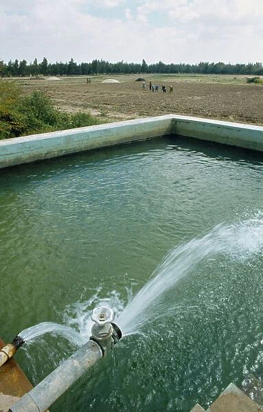 Qatar, General, Water pouring into an irrigation pool beside vegetable fields