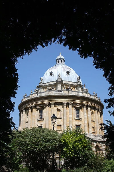 The Radcliffe Camera library building seen through arch of foliage