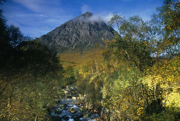 Scotland, Argyll and Bute, Glen Etive, Off Glen Coe, Stob Derag Mountain seen from amongst trees and a stream