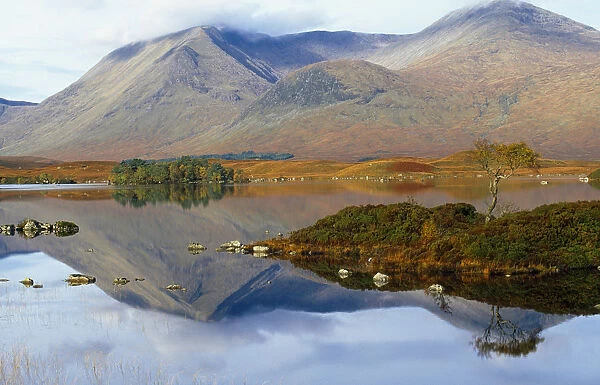 Scotland, Argyll and Bute, Rannoch Moor, Loch Na H Achlaise at Rannoch Moor, Mountains reflected in water with trees growing on small island