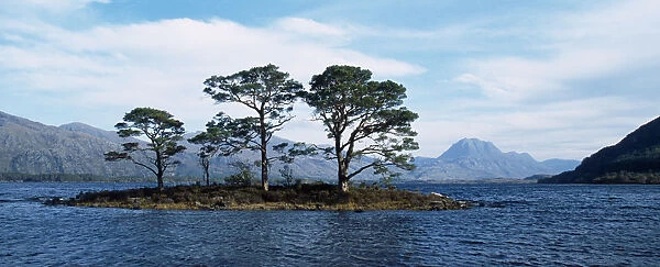 Scotland, Highlands, Loch Maree, View across Loch Maree towards a small island with trees growing on it. Slioch mountain in the distance