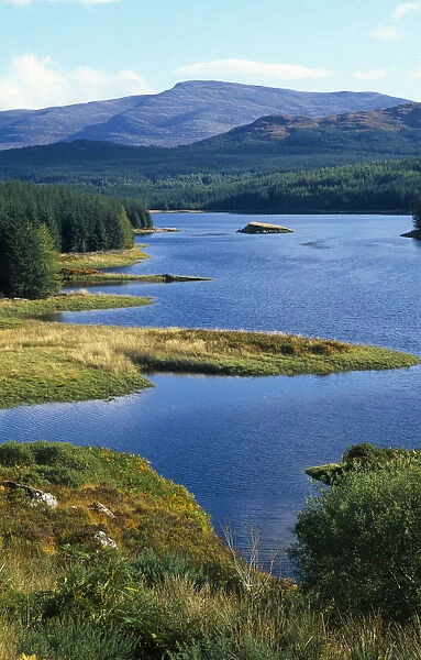Scotland, Highlands, Loch Maree, View over trees towards Loch Laggan with forest and Grampian mountains in the distance