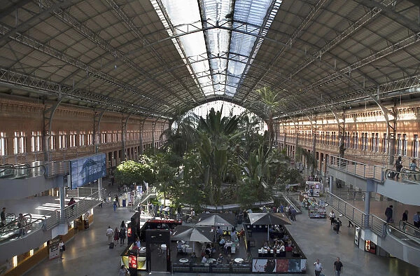 Spain, Madrid, The botanical garden inside the terminus of the Atocha Railway Station