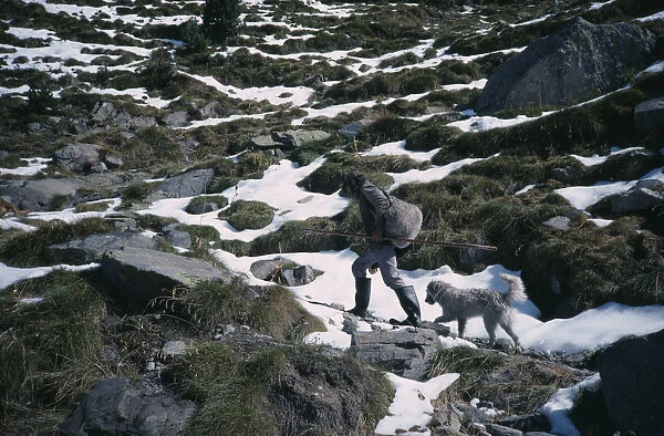 SPAIN, Pyrenees Shepherd climbing mountain path in melting snow followed by dog
