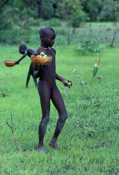 Sudan, General, Dinka children collecting shea butter fruit