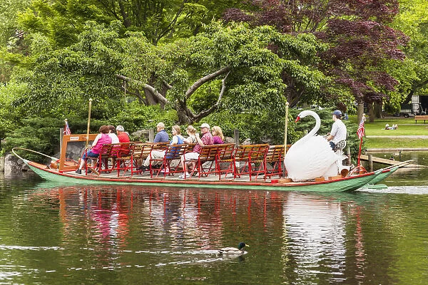 Swan boat, Boston Public Garden, Boston, Massachusetts, USA