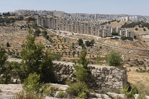 The traditional site of the fields of the shepards flocks in the hills near Bethlehem