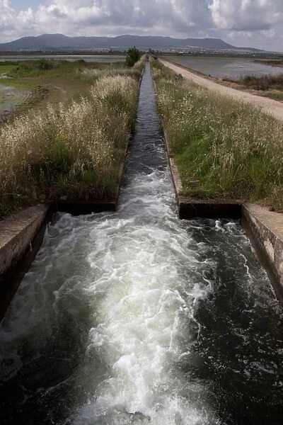 Irrigation channel flows from sluice gate to bring water to rice paddy fields, southern Spain