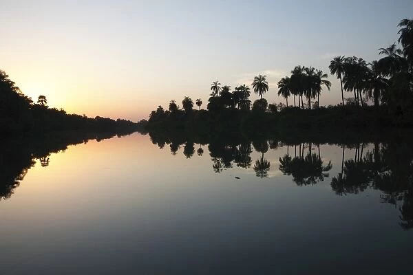 Sunset over river habitat, with palm trees silhouetted and reflected in water, Gambia River, Gambia, january