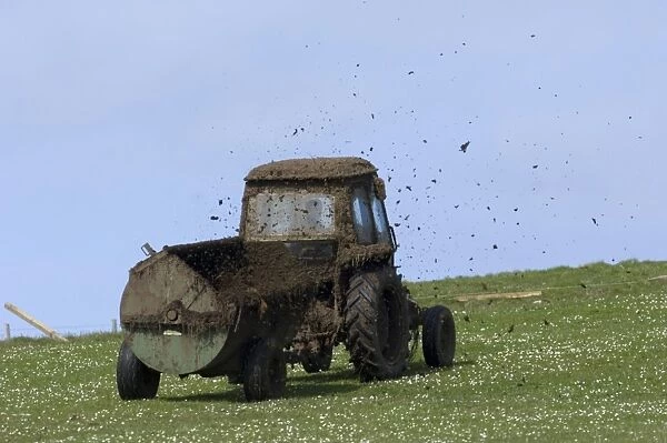 Tractor with muck spreader, spreading muck on grazing land, Fetlar, Shetland Islands, Scotland, june