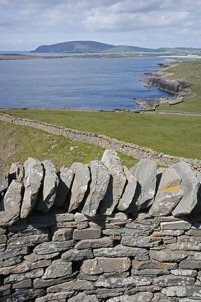 View of drystone walls and coastline, looking west to Scatness, Sumburgh Head, Mainland, Shetland Islands, Scotland