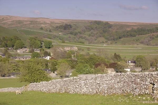 View of drystone walls, sheep grazing in pasture, village and hillside, Malham, Malhamdale, Yorkshire Dales N. P