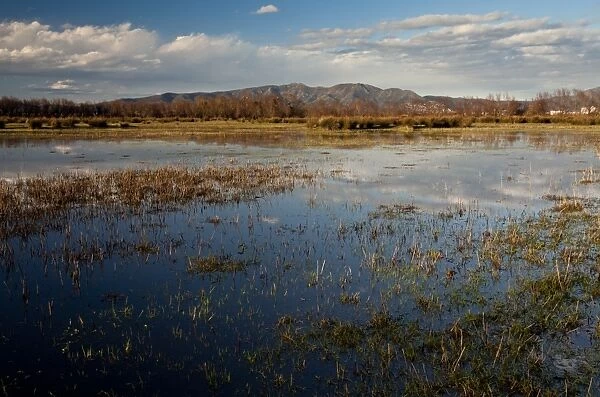 View of extensive marshland (marismas) habitat, Aiguamolls del Emporda Natural Park, Catalonia, Spain, March