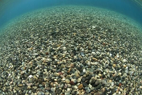 View of multi-coloured pebbles in shallows near shore, Tutuntute, Wetar Island, Barat Daya Islands