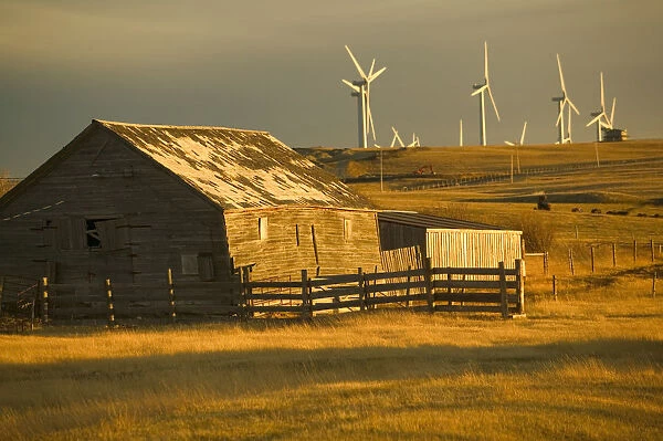 02. Canada, Alberta, Crowsnest Pass Area: Cowley Ridge Wind Farm Landscape with Old Ranch