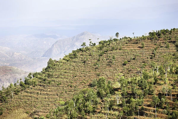 Dry farming on terraces in the steep and mountainous territory of the Konso, Rift valley