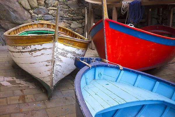 Italy, Riomaggiore. Colorful fishing boats