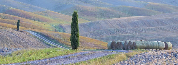 Italy, Tuscany. Hay bales and farm land. Credit as: Gilles Delisle  /  Jaynes Gallery
