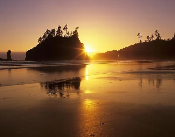 WA, Olympic NP, Second Beach at sunset