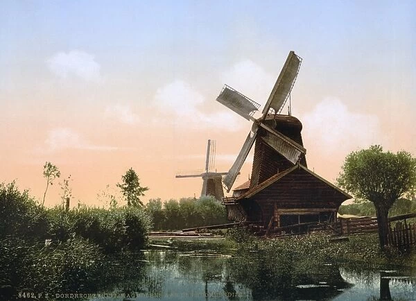 HOLLAND: WINDMILL. View of windmills in the Noordendijk, Dordrecht, Holland. Photochrome print