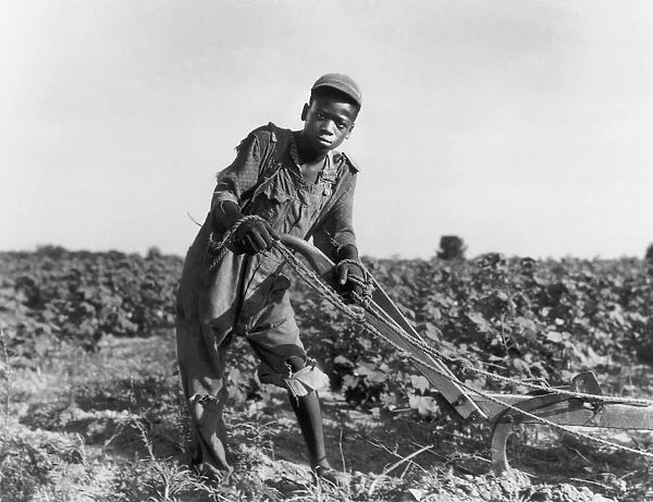 TEENAGE SHARECROPPER. Thirteen-year-old sharecropper boy near Americus, Georgia