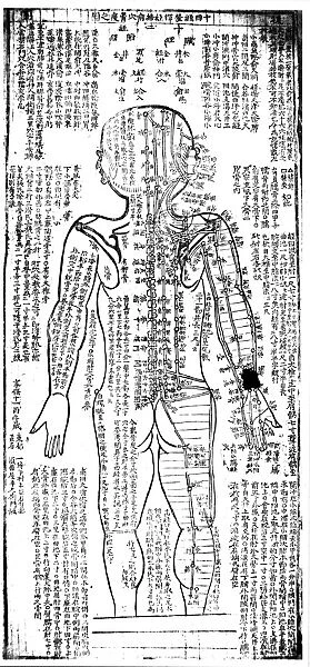 Acupuncture chart for rear of the body. 19th century Japanese. Wood block
