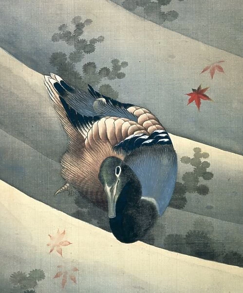 Duck Swimming in Water, 1847. Ink and colours on silk. Katsushika Hokusai (1770-1849)