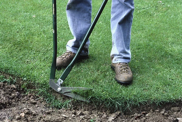 Man trimming the edges of a lawn with long-handled shears