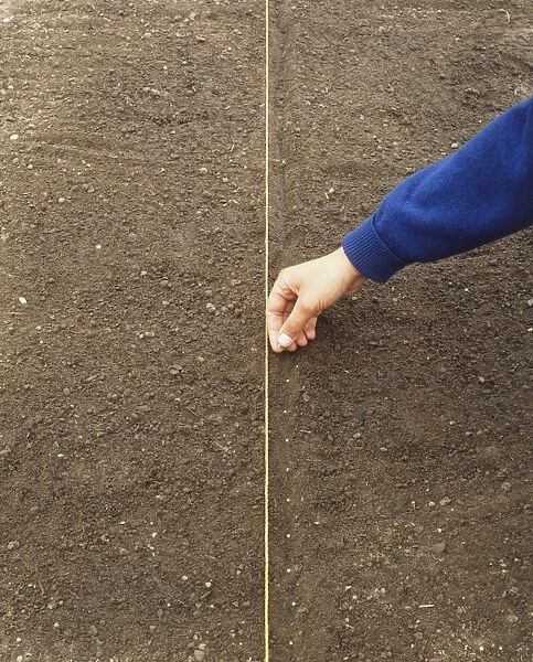 Placing seeds at equal distance