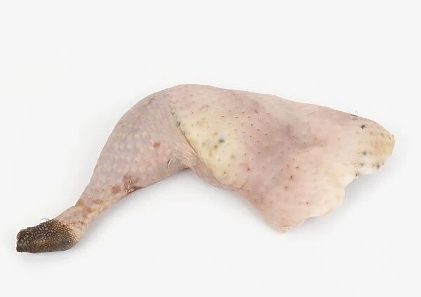 Raw jointed turkey leg