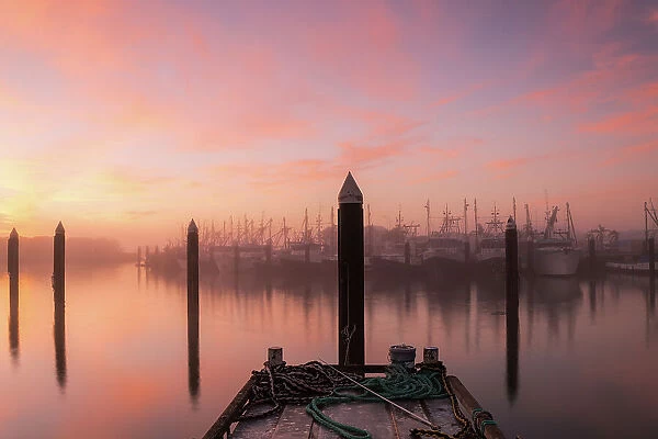 Fog at the commercial dock at sunrise