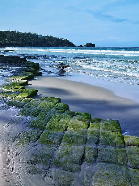 Moss covered rock formation at beach, Tessellated Pavement, Tasmania