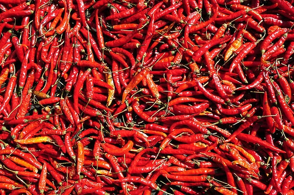 Many chili peppers, Laos, Southeast Asia, Asia