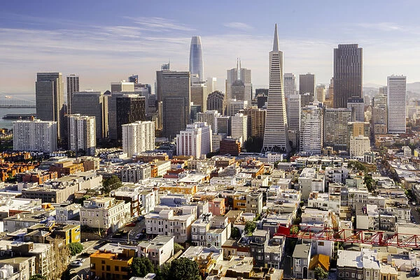 Downtown San Francisco Skyline 2020