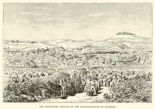 The Champagne Vintage in the Neighbourhood of Epernay (engraving)