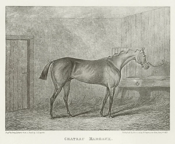 Chateau Margaux, foaled 1822 (b  /  w photo)
