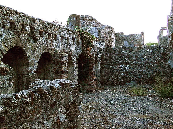 Courtyard of a ruined house (photo)