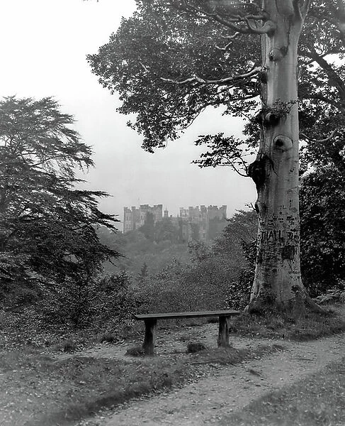 Distant view of Lumley Castle, from The Country Houses of Sir John Vanbrugh by Jeremy Musson, published 2008 (b / w photo)