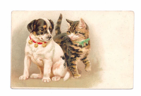Edwardian postcard of a dog and a cat, c. 1910 (colour litho)