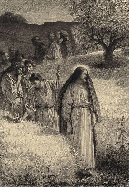 Jesus and his Disciples in the Corn Field (engraving)