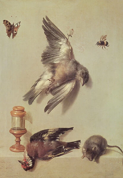 Still Life of Dead Birds and a Mouse, 1712 (oil on canvas)
