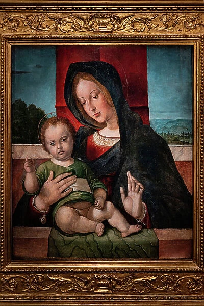 Madonna with infant Jesus, last decade of the 15th century (oil on panel)